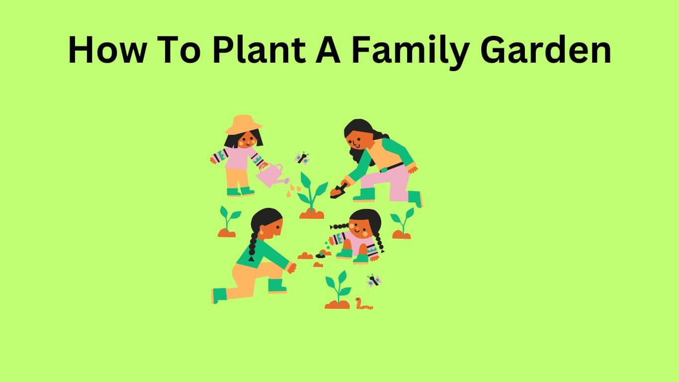 How To Plant A Family Garden