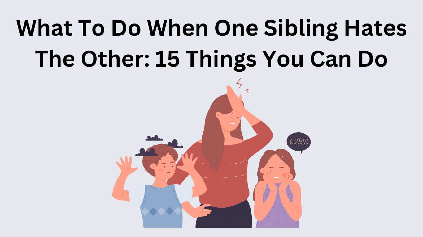 What To Do When One Sibling Hates The Other: 15 Things You Can Do